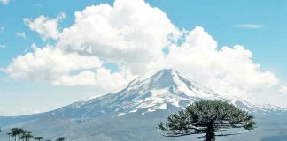 Lanzan proyecto para desarrollar Hidrógeno Verde en La Araucanía Lanzan proyecto para desarrollar Hidrógeno Verde en La Araucanía