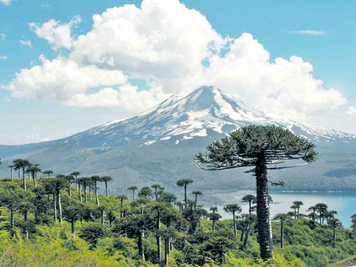 Lanzan proyecto para desarrollar Hidrógeno Verde en La Araucanía Lanzan proyecto para desarrollar Hidrógeno Verde en La Araucanía