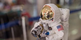 Patrimonio y ciencia: misión Apolo llega al Museo de Historia Natural de Concepción