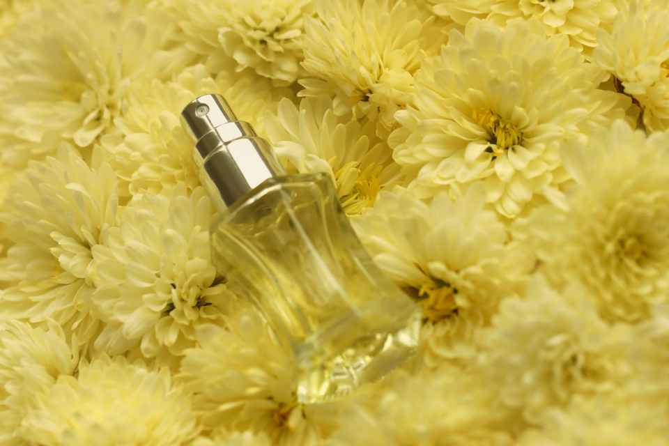 La memoria olfativa y la expectativa influyen en la percepción, ¿Por qué algunos perfumes huelen diferente en cada persona?