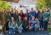 Postulaciones hasta el 17 de junio: Súmate al Fondo de Innovación de la Educación Parvularia 2025