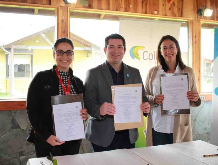 Profesores de escuelas multigrado de Cochamó se formarán en liderazgo y habilidades digitales  Profesores de escuelas multigrado de Cochamó se formarán en liderazgo y habilidades digitales