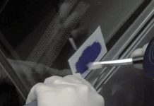 Rechazos en la revisión técnica hasta multas en UTM: ¿Qué pasa si no grabo la patente del auto?