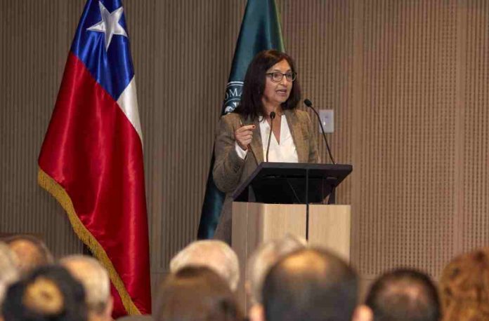 Santo Tomás lidera discusión sobre equidad y transformación en la educación superior con experto internacional Santo Tomás lidera discusión sobre equidad y transformación en la educación superior con experto internacional