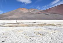 Seminario Científico “Microbiomas de Salares” Seminario Científico “Microbiomas de Salares”