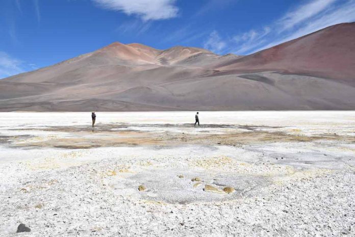 Seminario Científico “Microbiomas de Salares” Seminario Científico “Microbiomas de Salares”