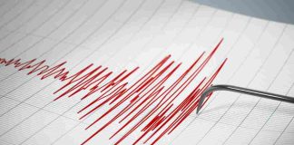 Sismo en Magallanes revela compleja interacción de placas tectónicas