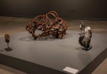 Sueños de mar a cordillera: Naturaleza viva y memoria ancestral en la Galería de Arte UCT Sueños de mar a cordillera: Naturaleza viva y memoria ancestral en la Galería de Arte UCT