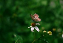 Tres formas en que estudiantes y agrupaciones pueden realizar visitas guiadas al Valle del Aconcagua con el Aula al Aire Libre