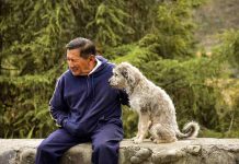 Veterinaria UdeC capacita en atención de pacientes geriátricos con curso de enfoque integral