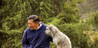 Veterinaria UdeC capacita en atención de pacientes geriátricos con curso de enfoque integral