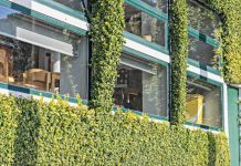 Violencia vecinal se viraliza en TikTok: condominios sin protocolos dejan a vecinos a su suerte