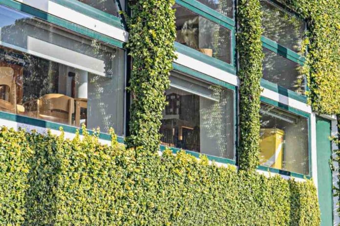 Violencia vecinal se viraliza en TikTok condominios sin protocolos dejan a vecinos a su suerte 66.5% de mujeres se sienten inseguras en zonas de alta densidad habitacional como CDMX, Monterrey y G Violencia vecinal se viraliza en TikTok: condominios sin protocolos dejan a vecinos a su suerte