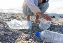 PARA EL 2050, HABRÁ MÁS PLÁSTICO QUE PECES EN EL OCÉANO ¿CÓMO EVITARLO DESDE CASA?