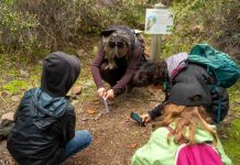 4 trekkings guiados para este mes de julio en Santiago 4 trekkings guiados para este mes de julio en Santiago