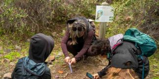 4 trekkings guiados para este mes de julio en Santiago