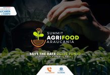 AgriFood Summit Araucanía: La Cumbre que Redefine el Futuro Sostenible del Agro desde la Salud del Suelo a la Mesa