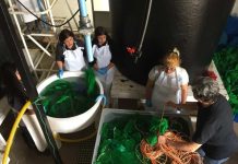 AquaPacífico impulsa modelo innovación social para fortalecer liceos técnicos-profesionales con formación en acuicultura AquaPacífico impulsa modelo innovación social para fortalecer liceos técnicos-profesionales con formación en acuicultura