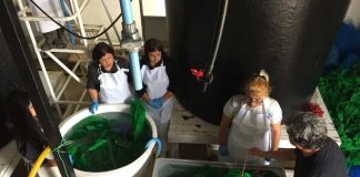 AquaPacífico impulsa modelo innovación social para fortalecer liceos técnicos-profesionales con formación en acuicultura