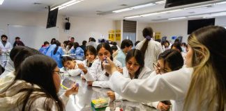 Ciencia joven en acción: Cierre de programa científico presenta soluciones a desafíos locales Ciencia joven en acción: Cierre de programa científico presenta soluciones a desafíos locales