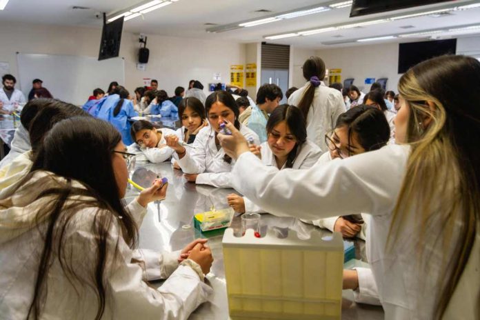 Ciencia joven en acción: Cierre de programa científico presenta soluciones a desafíos locales Ciencia joven en acción: Cierre de programa científico presenta soluciones a desafíos locales