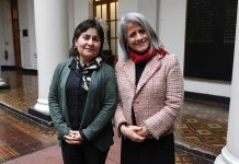 Decana UCT es distinguida por el CRUCH por su aporte a la salud mental estudiantil Decana UCT es distinguida por el CRUCH por su aporte a la salud mental estudiantil