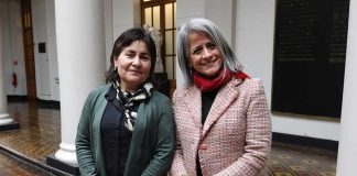 Decana UCT es distinguida por el CRUCH por su aporte a la salud mental estudiantil