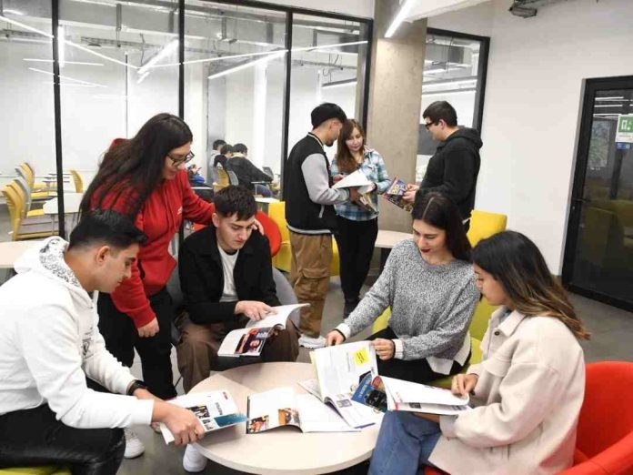 Desinformación sobre gratuidad y requisitos de ingreso a educación superior sigue afectando a estudiantes (1) Desinformación sobre gratuidad y requisitos de ingreso a educación superior sigue afectando a estudiantes