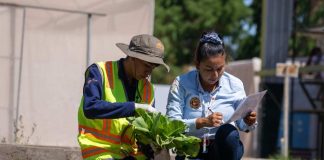 Estudiantes del Liceo de Pica integran su producción hortícola a la cadena de abastecimiento regional