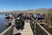 Experiencias de Aprendizaje para colegios y jardines (Travesías CTCI)