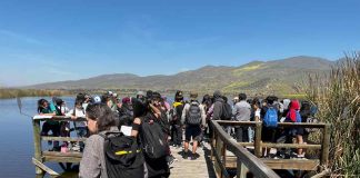 Experiencias de Aprendizaje para colegios y jardines (Travesías CTCI)