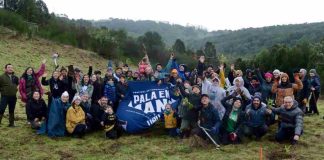 Festival Pala en Mano potencia a Chiloé como territorio privilegiado para la adaptación climática y el almacenamiento de carbono