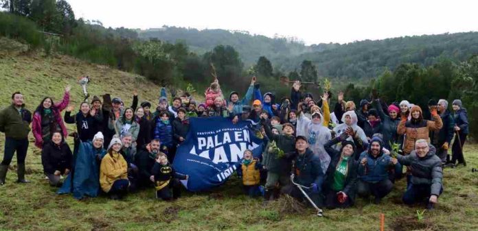 Festival Pala en Mano potencia a Chiloé como territorio privilegiado para la adaptación climática y el almacenamiento de carbono Festival Pala en Mano potencia a Chiloé como territorio privilegiado para la adaptación climática y el almacenamiento de carbono
