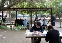 ONG busca transformar patios escolares en verdaderos refugios climáticos ONG busca transformar patios escolares en verdaderos refugios climáticos