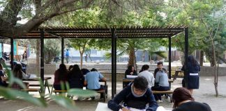 ONG busca transformar patios escolares en verdaderos refugios climáticos