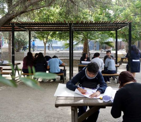 ONG busca transformar patios escolares en verdaderos refugios climáticos ONG busca transformar patios escolares en verdaderos refugios climáticos