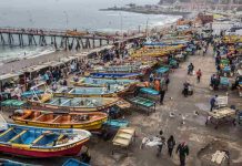 Día Mundial de los Océanos: Oceana Chile llama a reforzar protección marina y alerta sobre retrocesos en la ley de plásticos