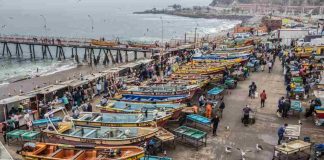 Día Mundial de los Océanos: Oceana Chile llama a reforzar protección marina y alerta sobre retrocesos en la ley de plásticos