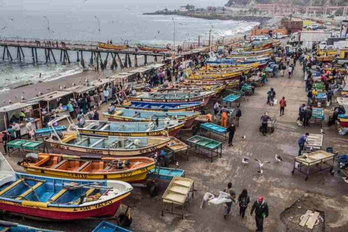 Día Mundial de los Océanos: Oceana Chile llama a reforzar protección marina y alerta sobre retrocesos en la ley de plásticos Día Mundial de los Océanos: Oceana Chile llama a reforzar protección marina y alerta sobre retrocesos en la ley de plásticos
