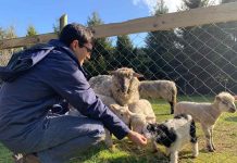 10 PANORAMAS MÁS BUSCADOS EN SANTIAGO PARA ESTAS VACACIONES DE INVIERNO 10 PANORAMAS MÁS BUSCADOS EN SANTIAGO PARA ESTAS VACACIONES DE INVIERNO