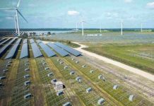 El cambio viene de la próxima generación: ¿Cómo puede ganar tu colegio 150 mil dólares para liderar un proyecto de sostenibilidad?