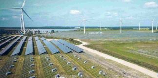 El cambio viene de la próxima generación: ¿Cómo puede ganar tu colegio 150 mil dólares para liderar un proyecto de sostenibilidad?