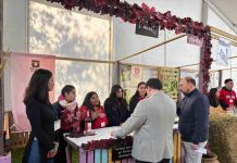 Única vendimia universitaria del país celebró su undécima edición