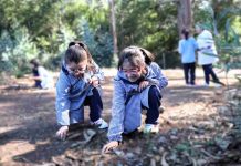 World’s Best School Prize: Colegio chileno sustentable es finalista en prestigioso premio internacional de educación World’s Best School Prize: Colegio chileno sustentable es finalista en prestigioso premio internacional de educación