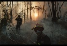 Pirópolis: documental bomberos de Valparaíso llega a Viña del Mar con función gratuita