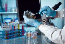 ¿Sabías que algunos de los doctorados mejor evaluados del mundo están en Chile? ¿Sabías que algunos de los doctorados mejor evaluados del mundo están en Chile?