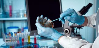 ¿Sabías que algunos de los doctorados mejor evaluados del mundo están en Chile?