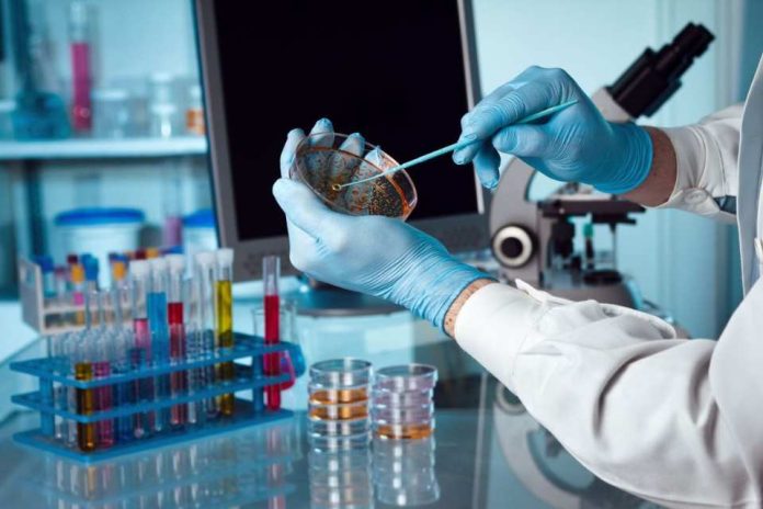 ¿Sabías que algunos de los doctorados mejor evaluados del mundo están en Chile ¿Sabías que algunos de los doctorados mejor evaluados del mundo están en Chile?