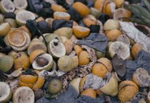 Desperdicio de alimentos: la contradicción de botar comida cuando se agotan los recursos naturales