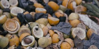 Desperdicio de alimentos: la contradicción de botar comida cuando se agotan los recursos naturales